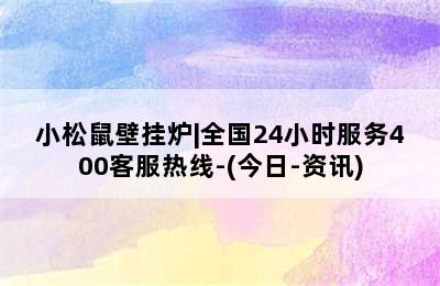 小松鼠壁挂炉|全国24小时服务400客服热线-(今日-资讯)